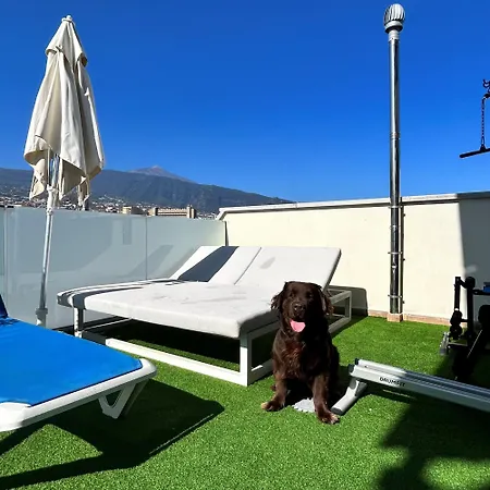 ホテル Puerto Azul 2*