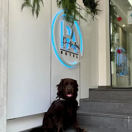 Hotel Puerto Azul Puerto de la Cruz (Tenerife)