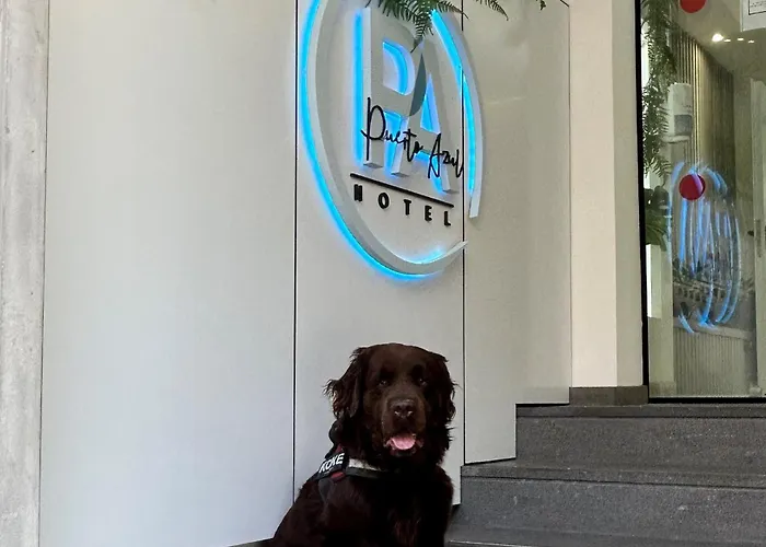 Hotel Puerto Azul Puerto de la Cruz (Tenerife)