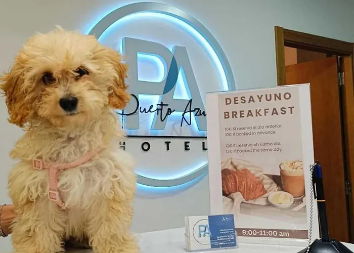 Puerto Azul Hotel Puerto de la Cruz (Tenerife)